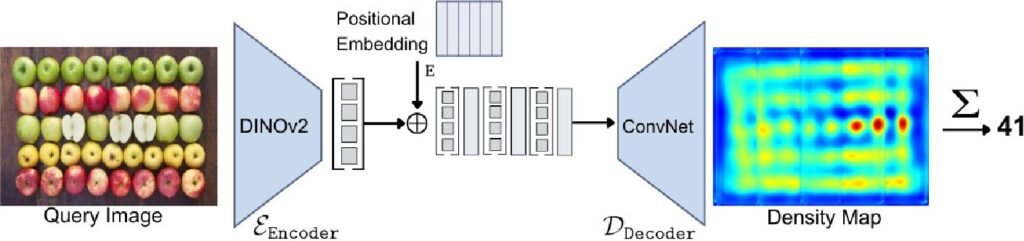 CountFormer architecture: a query image passes through a DINOv2 encoder and a ConvNet decoder to produce a density map and a count